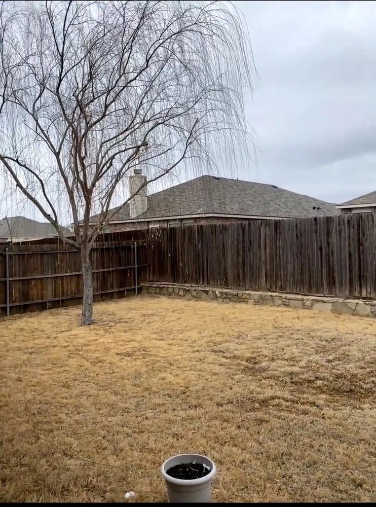 Affordable outdoor landscaping experts serving Little Elm, TX - Mr. Delgado’s Tree Service