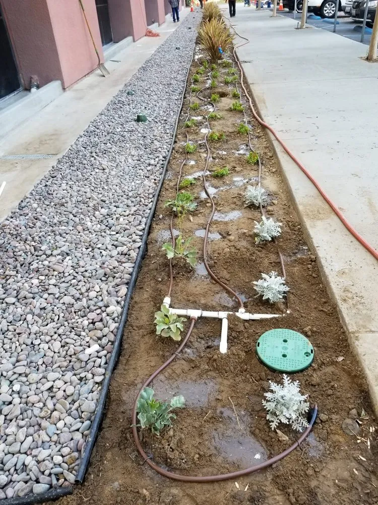 Expert lawn care service for outdoor upgrades across Little Elm, TX - Mr. Delgado’s Tree Service