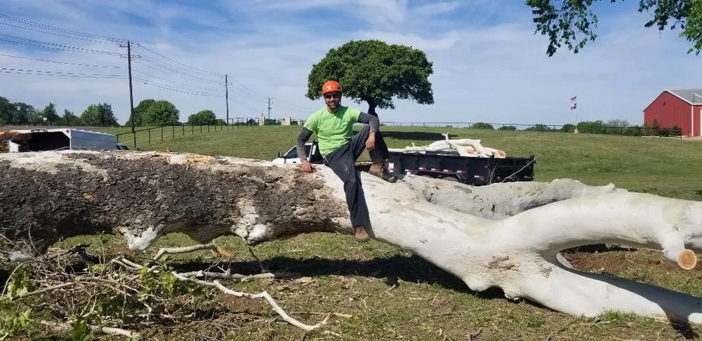 Affordable yard cleanup service in Little Elm, TX - Mr. Delgado’s Tree Service
