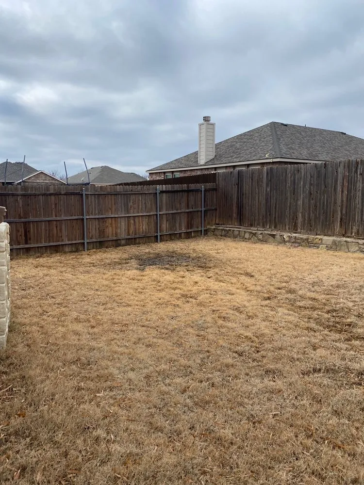 Custom lawn care service for beautiful yards in Little Elm, TX by Mr. Delgado’s Tree Service