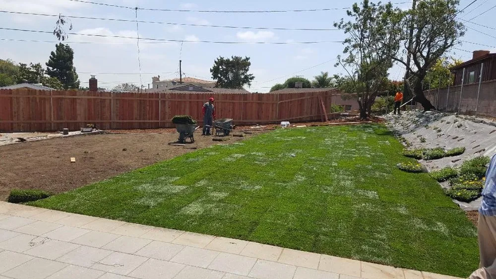 Reliable yard maintenance in Little Elm, TX by Mr. Delgado’s Tree Service