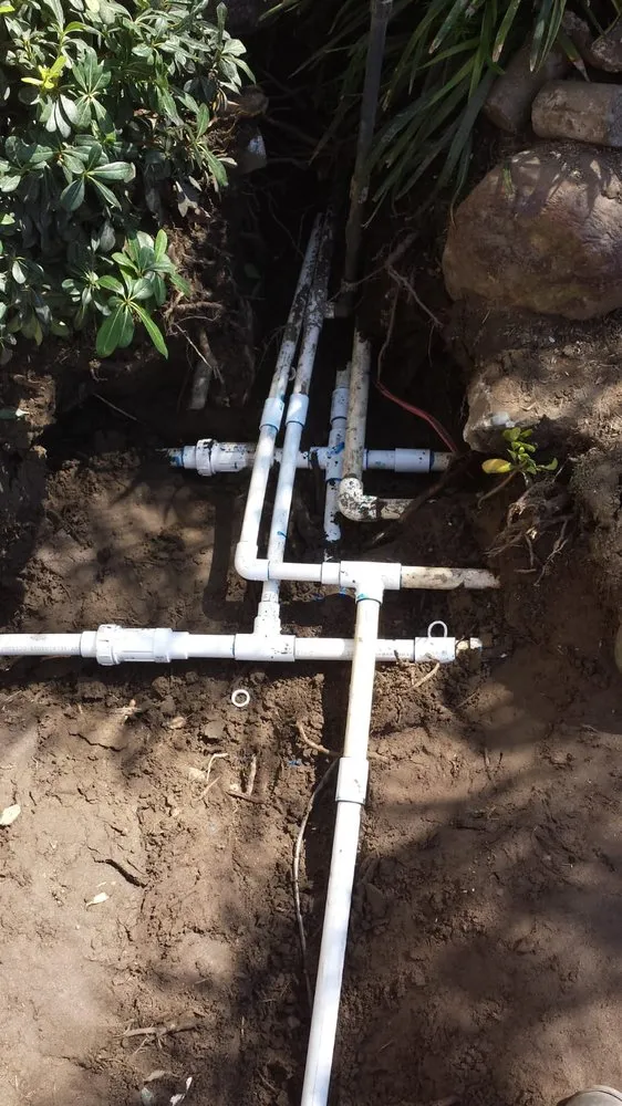 Local garden landscaping experts serving Little Elm, TX - Mr. Delgado’s Tree Service