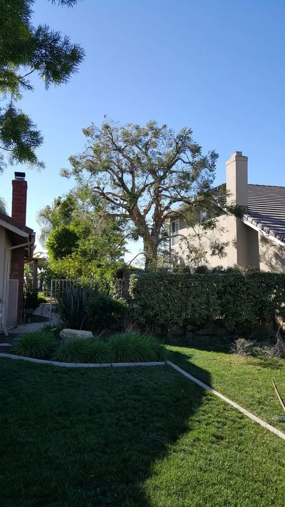 Local landscaping services for residential properties in Little Elm, TX by Mr. Delgado’s Tree Service