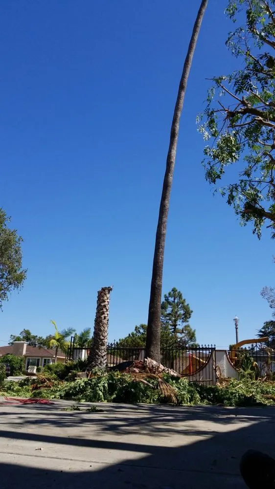 Top-rated garden landscaping in Little Elm, TX by Mr. Delgado’s Tree Service