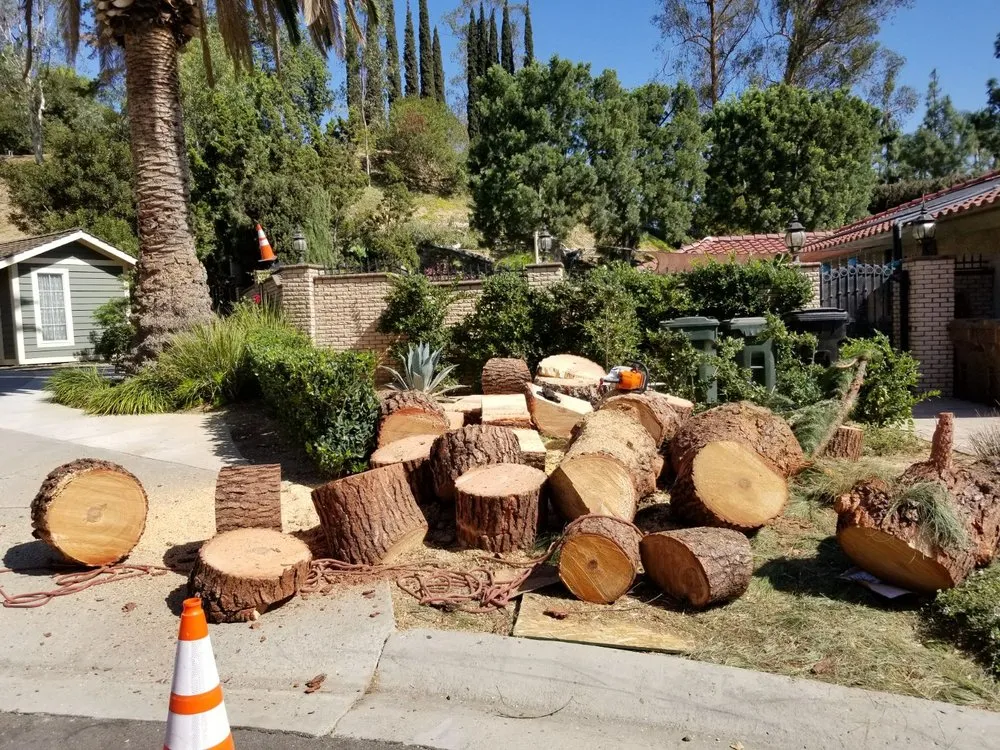 Expert outdoor landscaping in Little Elm, TX - Mr. Delgado’s Tree Service