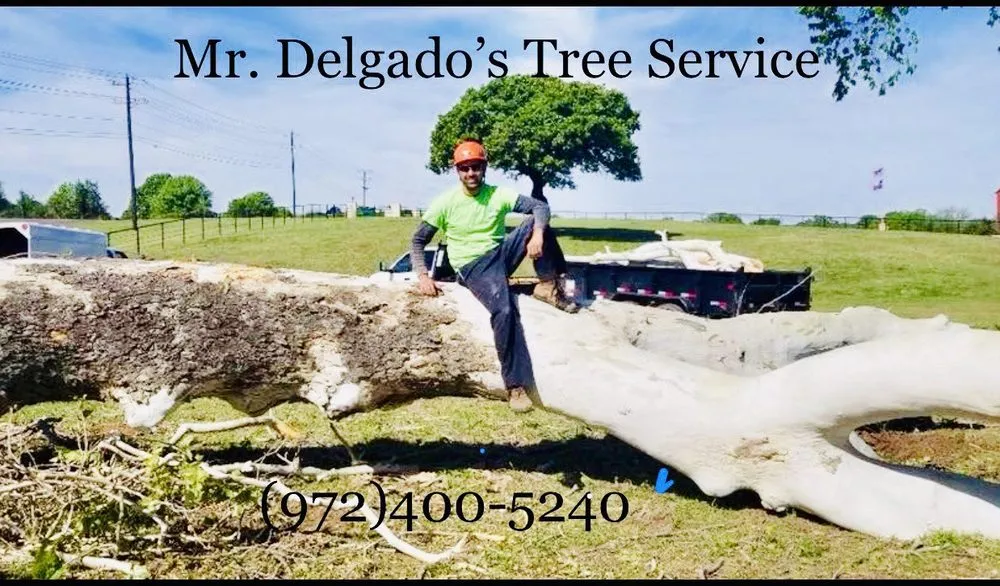 Trusted garden landscaping near you in Little Elm, TX by Mr. Delgado’s Tree Service