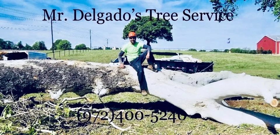Custom garden landscaping experts serving Little Elm, TX - Mr. Delgado’s Tree Service