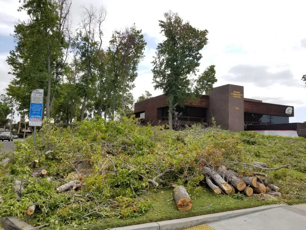 Professional landscaping services in Little Elm, TX - Mr. Delgado’s Tree Service