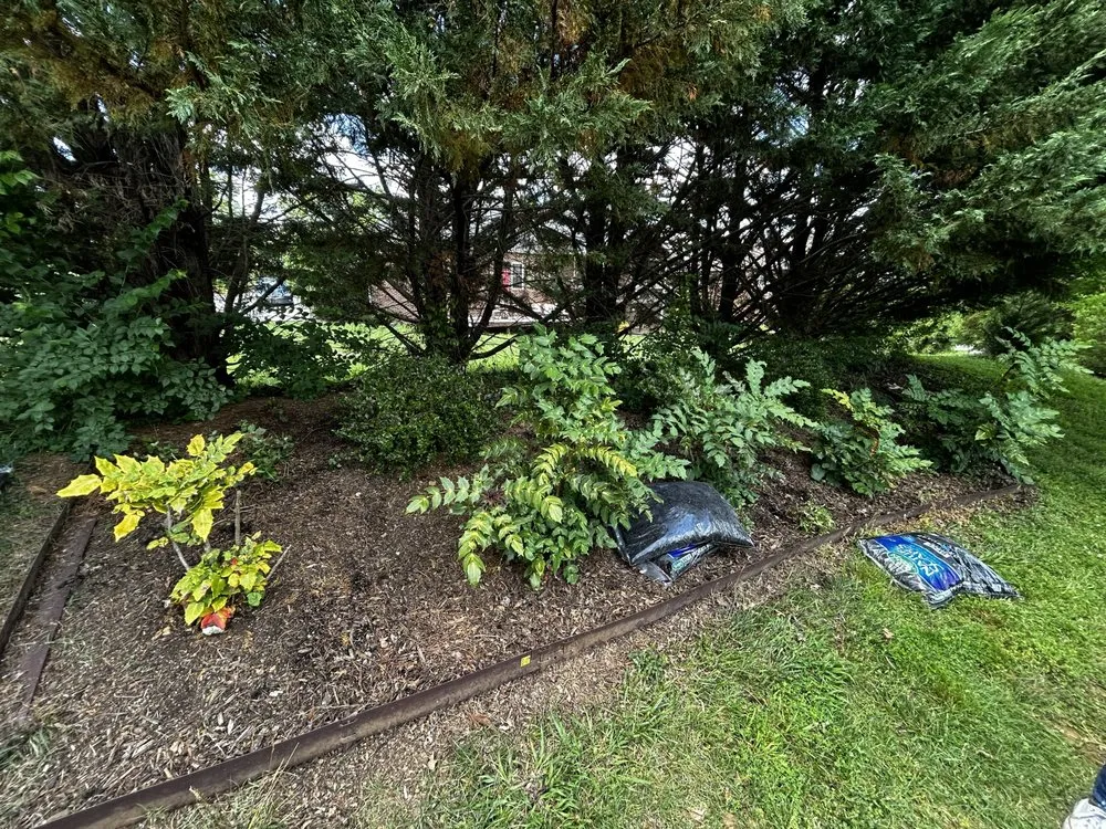 Professional outdoor landscaping experts serving Greeneville, TN - Mr Do It All