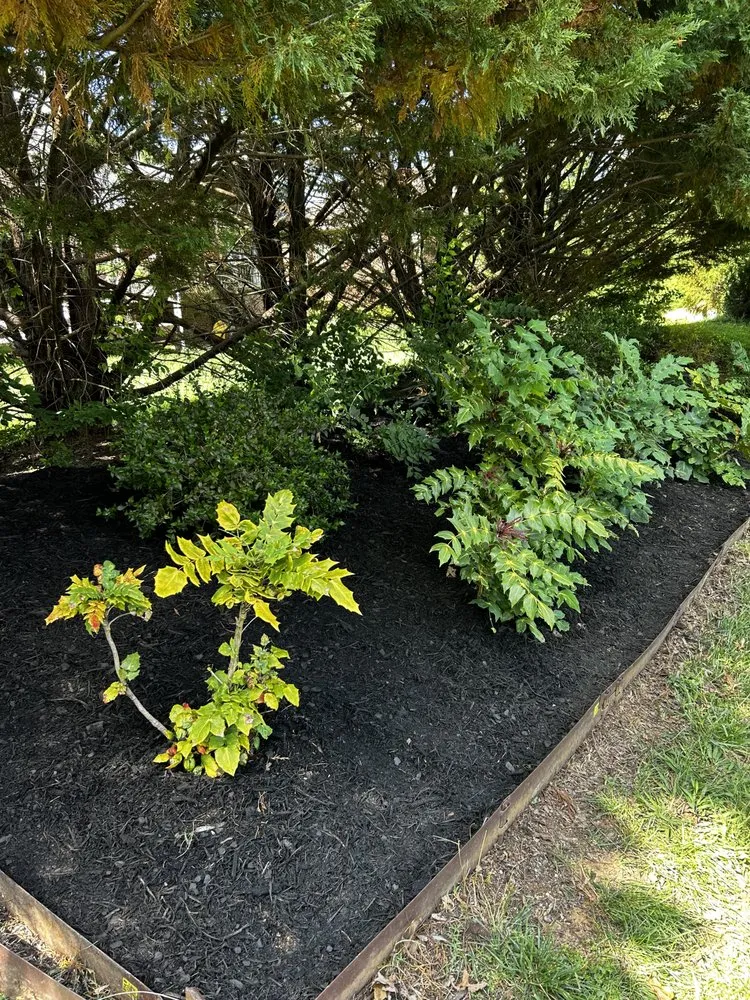 Professional landscaping services for year-round maintenance in Greeneville, TN by Mr Do It All