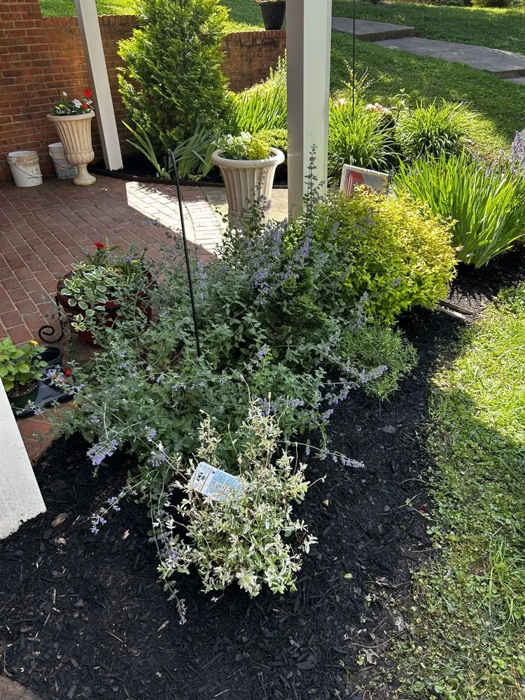 Trusted landscaping services experts serving Greeneville, TN - Mr Do It All