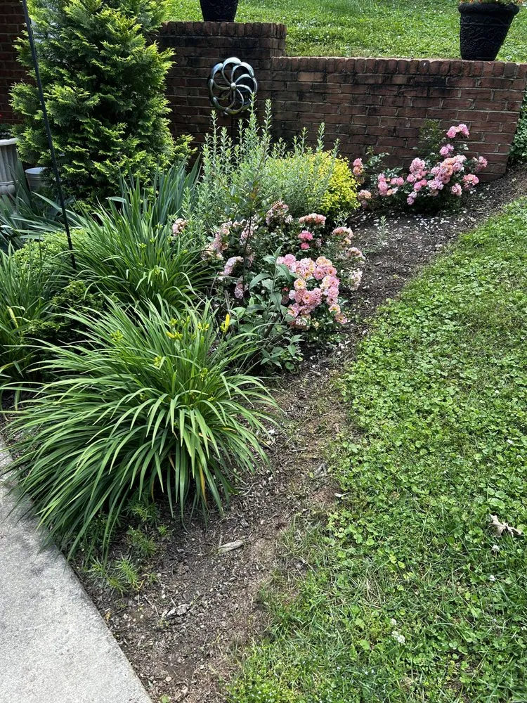 Affordable lawn mowing service experts serving Greeneville, TN - Mr Do It All