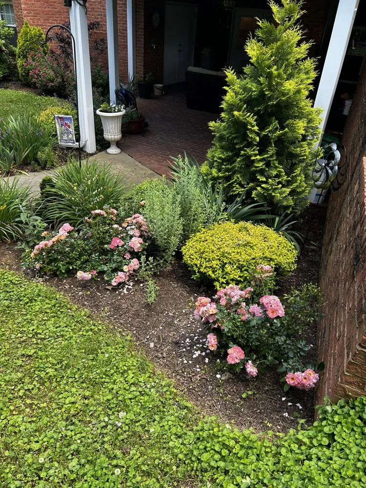 Reliable lawn mowing service for homes across Greeneville, TN - Mr Do It All