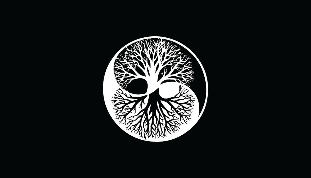 Expert residential landscaping with custom design in Vacaville, CA by Mr. Do It all Handyman Service