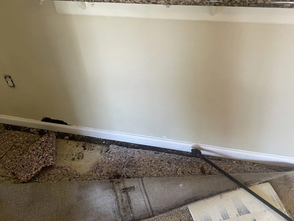 Affordable landscaping services in Little Rock, AR by Mr Do It All