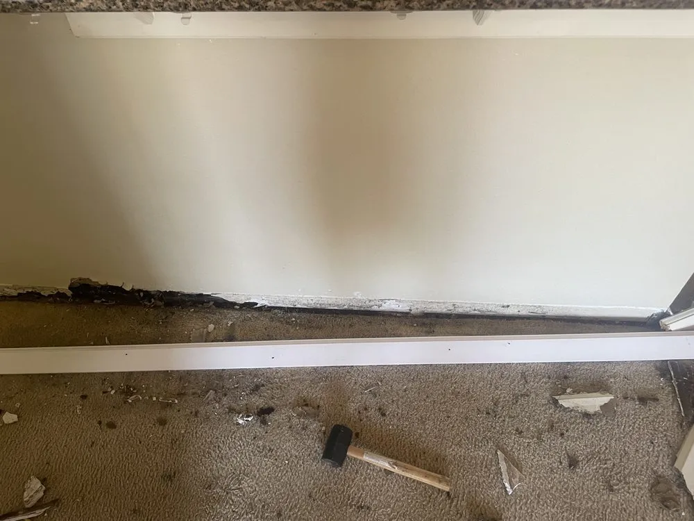 Local residential landscaping in Little Rock, AR by Mr Do It All