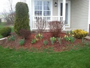 Custom yard maintenance near you across Baldwinsville, NY - Mr D's Landscaping