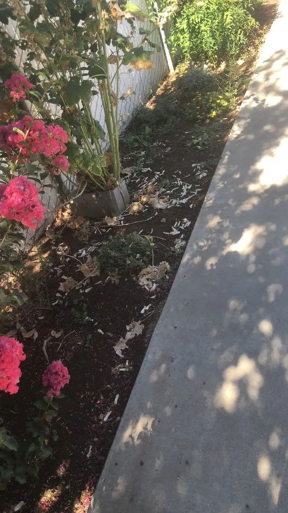 Trusted garden landscaping in Madera, CA - Mr. D's Landscaping Services