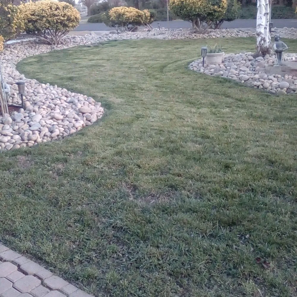 Affordable outdoor landscaping experts serving Madera, CA - Mr. D's Landscaping Services