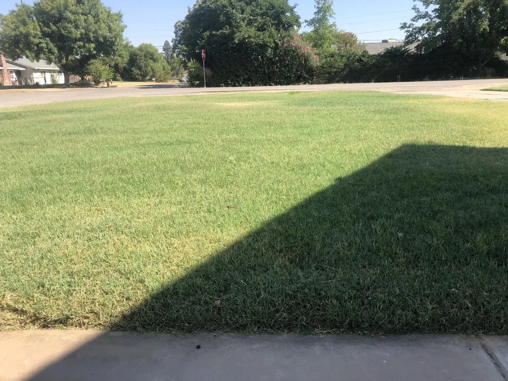 Reliable outdoor landscaping in Madera, CA by Mr. D's Landscaping Services