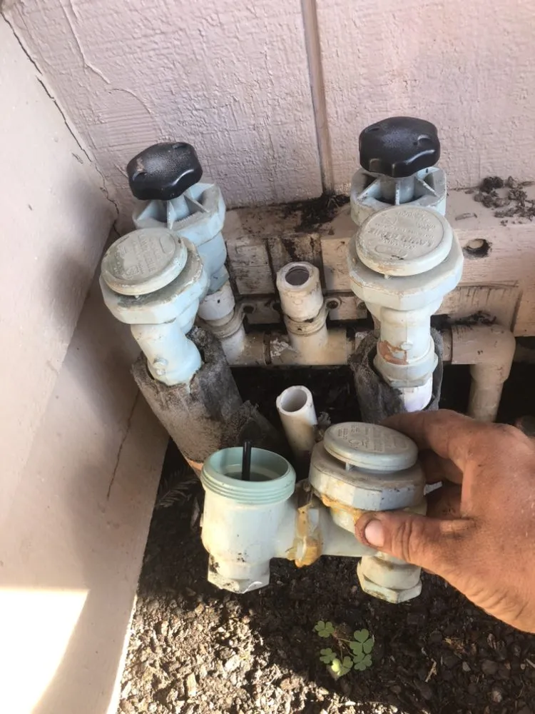 Top-rated landscaping services in Madera, CA by Mr. D's Landscaping Services