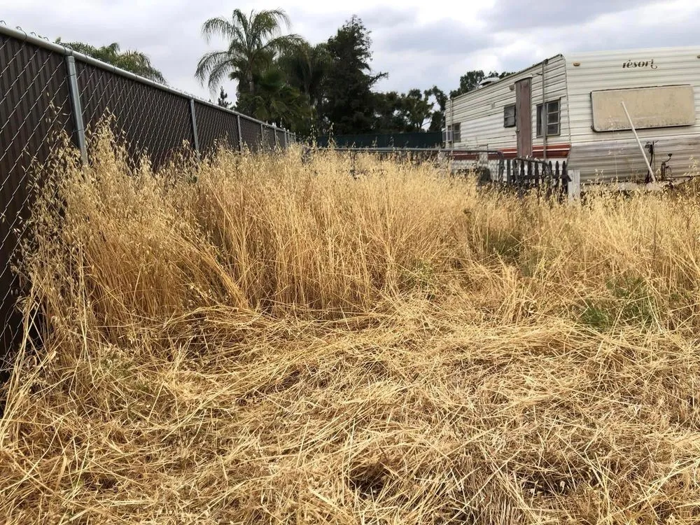 Top-rated outdoor landscaping in Madera, CA by Mr. D's Landscaping Services