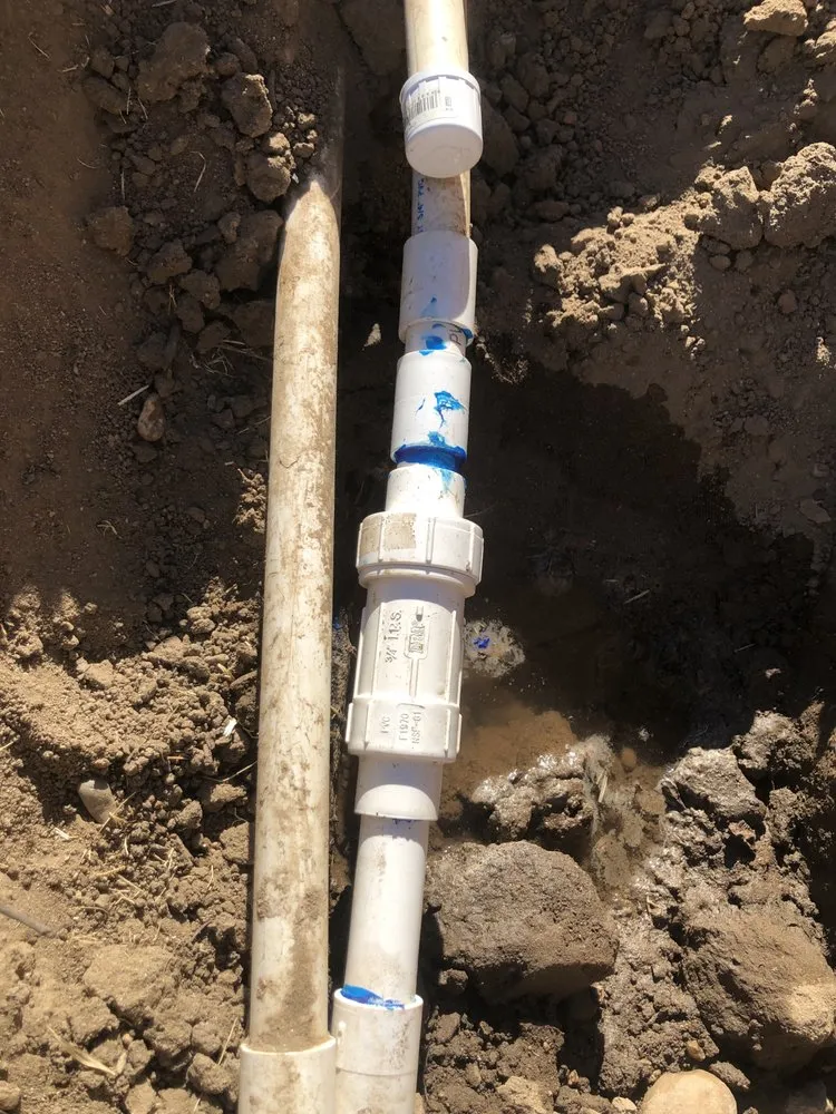 Expert yard maintenance near you across Madera, CA - Mr. D's Landscaping Services