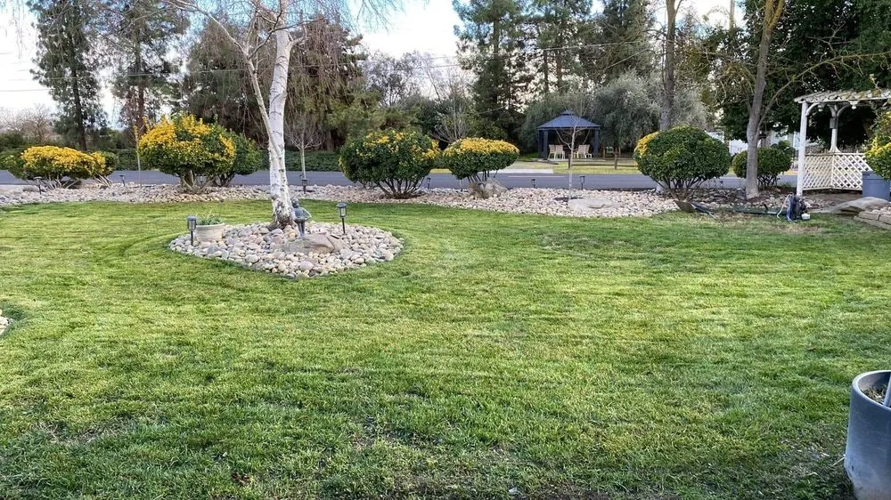Top-rated landscape design in Madera, CA by Mr. D's Landscaping Services
