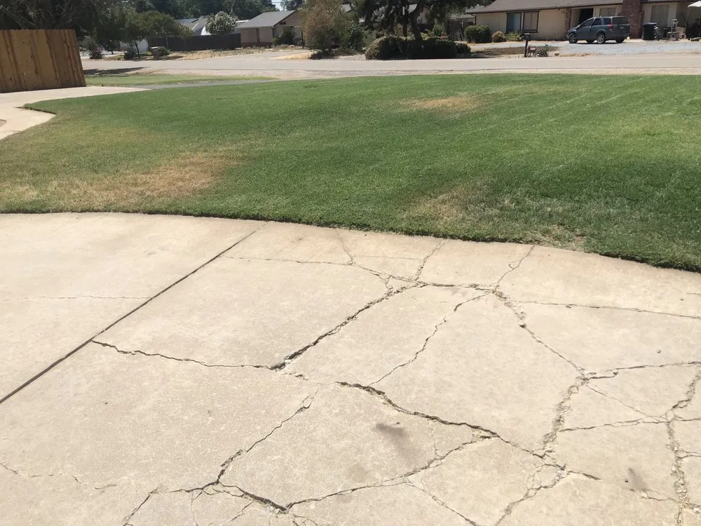 Affordable lawn mowing service experts serving Madera, CA - Mr. D's Landscaping Services