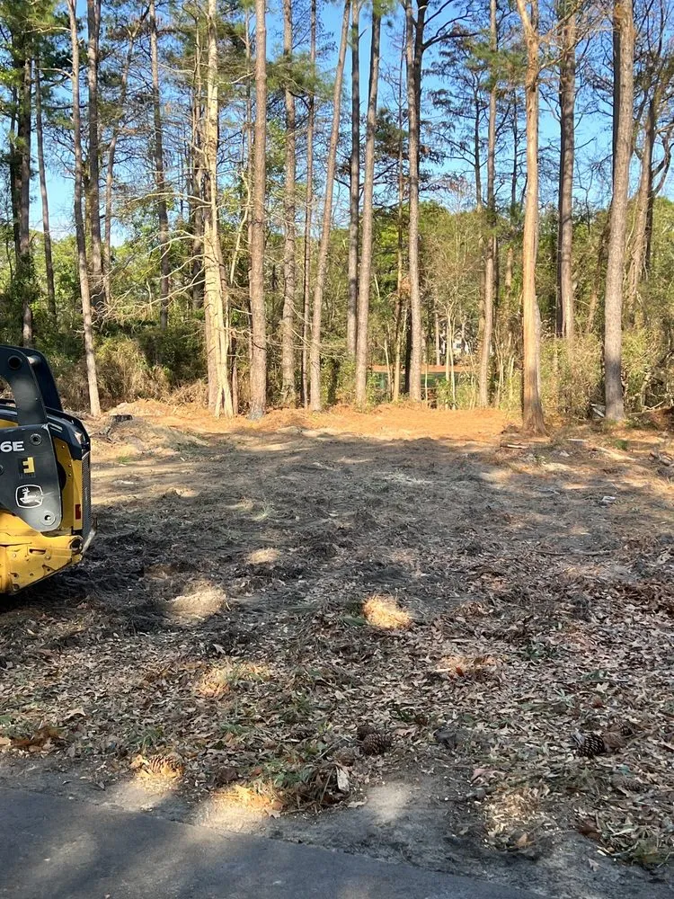 Top-rated outdoor landscaping for beautiful yards in Myrtle Beach, SC by Mr D's Tree & Landscaping Service