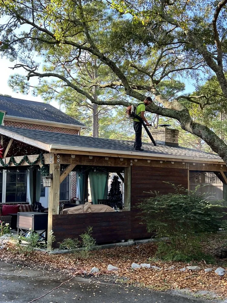 Expert outdoor landscaping in Myrtle Beach, SC by Mr D's Tree & Landscaping Service