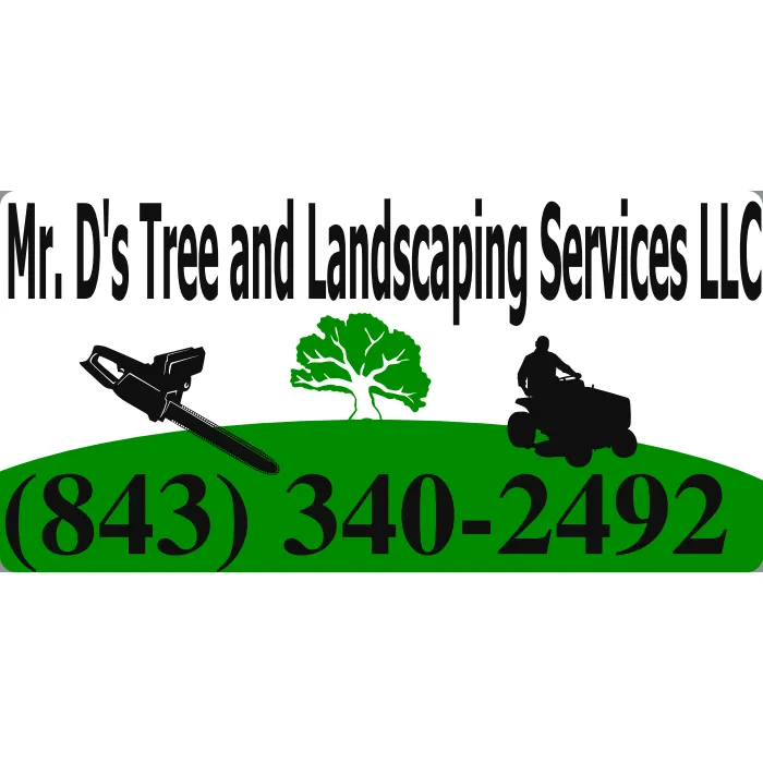 Professional lawn care service in Myrtle Beach, SC by Mr D's Tree & Landscaping Service