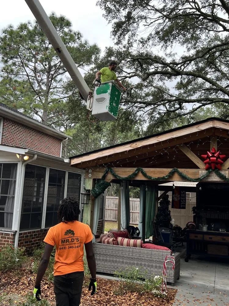 Custom landscaping services experts serving Myrtle Beach, SC - Mr D's Tree & Landscaping Service