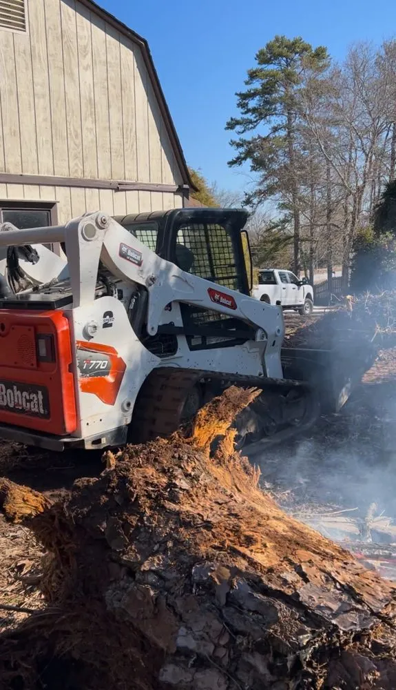 Local yard cleanup service in Lithia Springs, GA - Mr. Eagle junk and tree removal