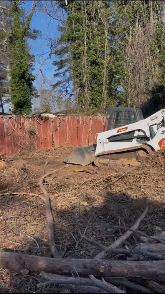 Trusted landscape installation in Lithia Springs, GA - Mr. Eagle junk and tree removal