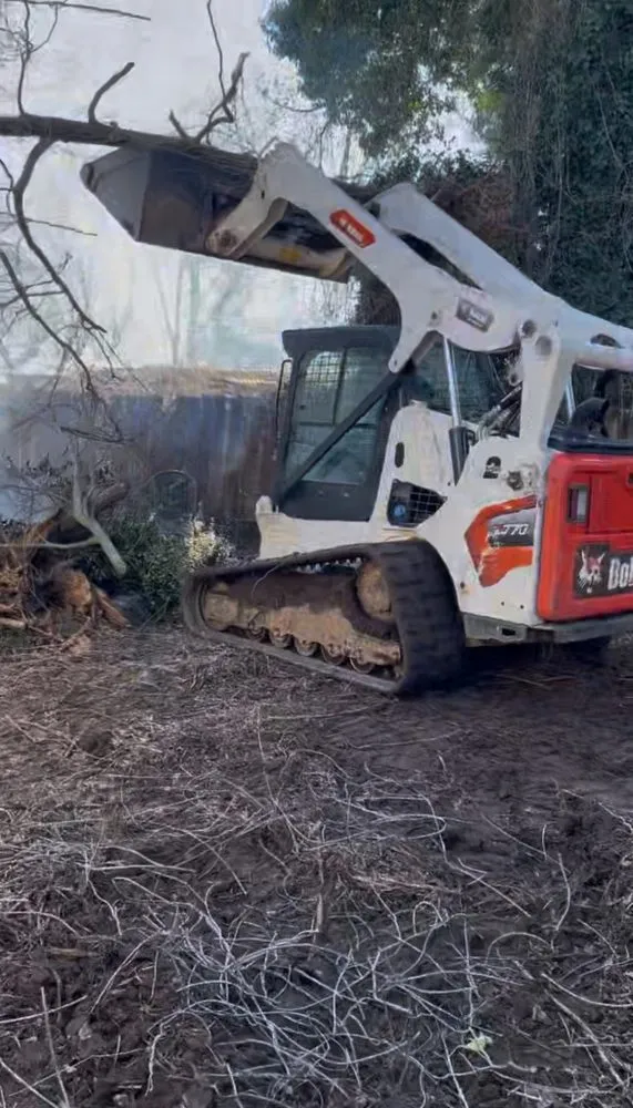 Top-rated landscape installation in Lithia Springs, GA by Mr. Eagle junk and tree removal