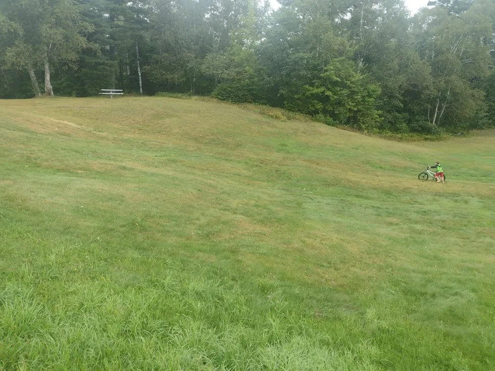 Trusted landscape design with custom design across Ishpeming, MI - Mr Ed'z Lawns Errands Health