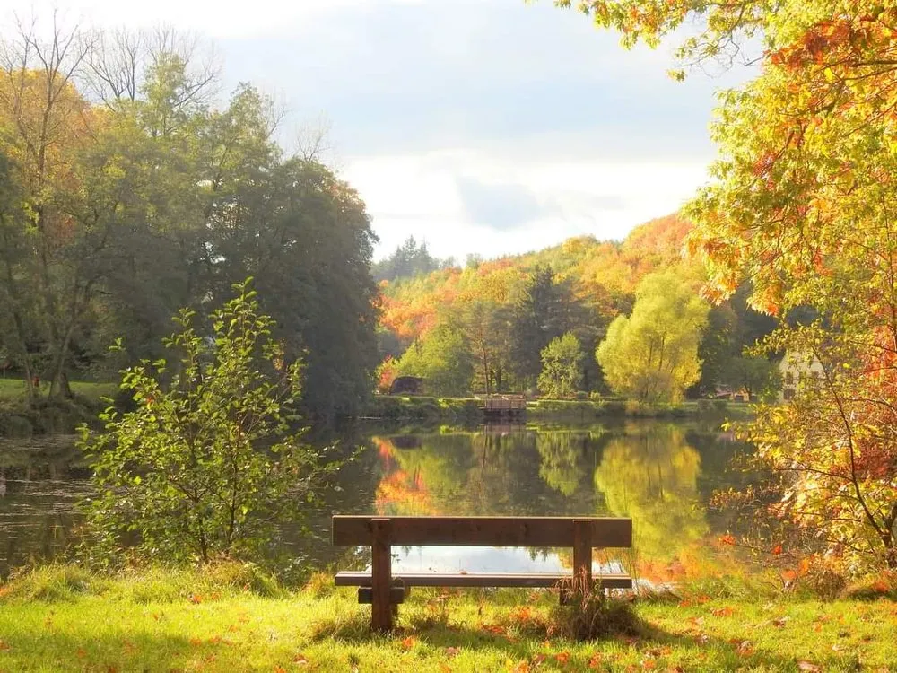 Professional lawn care service in Ishpeming, MI - Mr Ed'z Lawns Errands Health