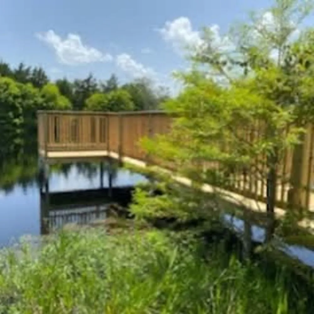 Local landscaping services in Alleyton, TX by Mr Fitz It Handyman Service
