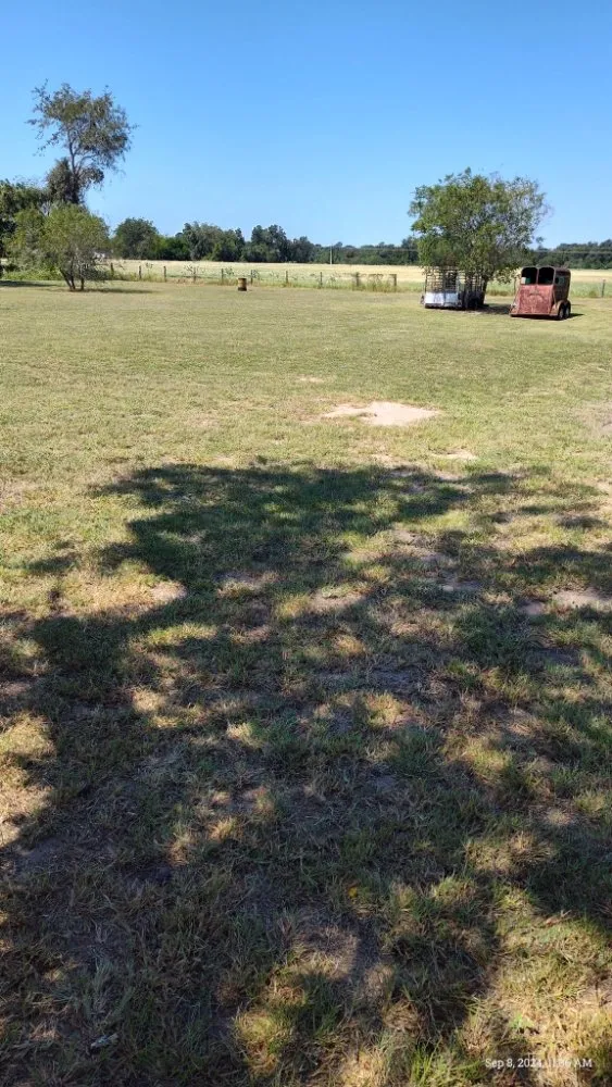 Top-rated yard cleanup service experts serving Alleyton, TX - Mr Fitz It Handyman Service