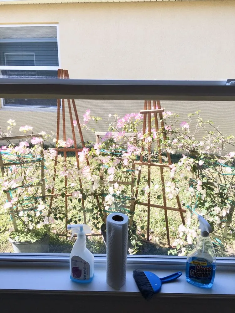 Affordable lawn care service for year-round maintenance in Leesburg, FL by Mr Fix It All