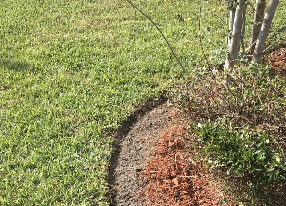 Local landscape installation for homes across Leesburg, FL - Mr Fix It All