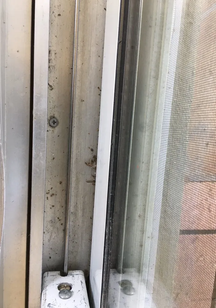 Trusted lawn mowing service with custom design across Leesburg, FL - Mr Fix It All