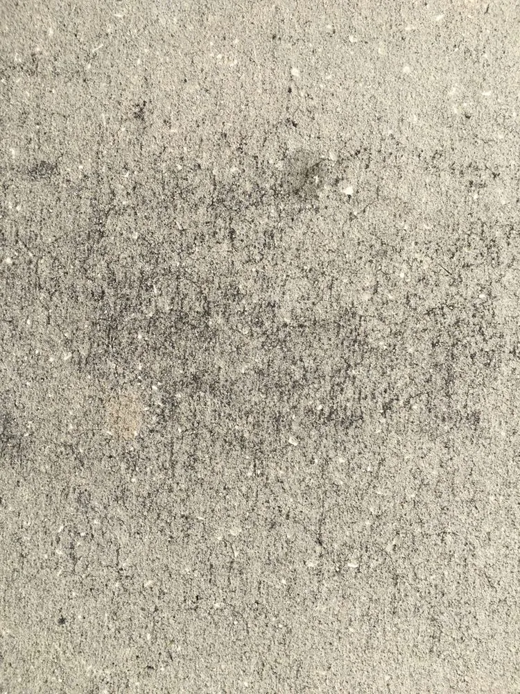 Reliable yard maintenance for outdoor upgrades across Leesburg, FL - Mr Fix It All