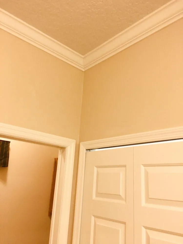 Reliable outdoor landscaping in Leesburg, FL by Mr Fix It All