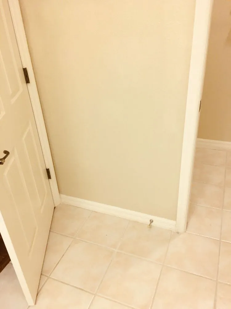 Trusted yard cleanup service experts serving Leesburg, FL - Mr Fix It All