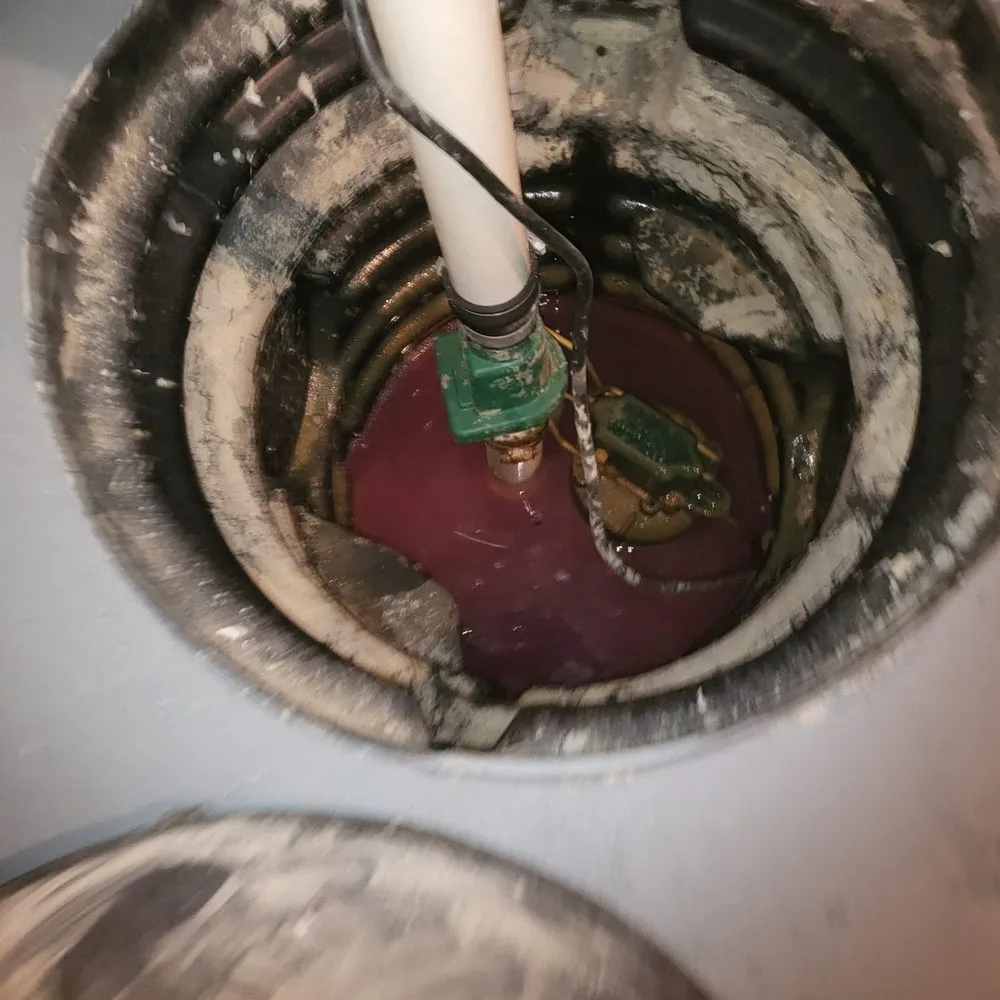 Expert yard cleanup service for beautiful yards in Florence, KY by Mr Fix It