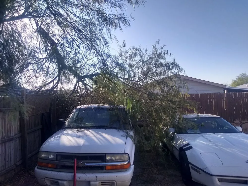 Custom residential landscaping with custom design in Payson, AZ by Mr Fix It of Payson