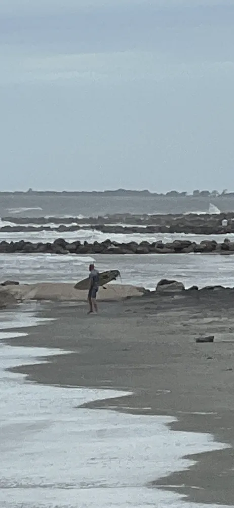 Reliable yard cleanup service in Edmond, OK by Mr Fixer