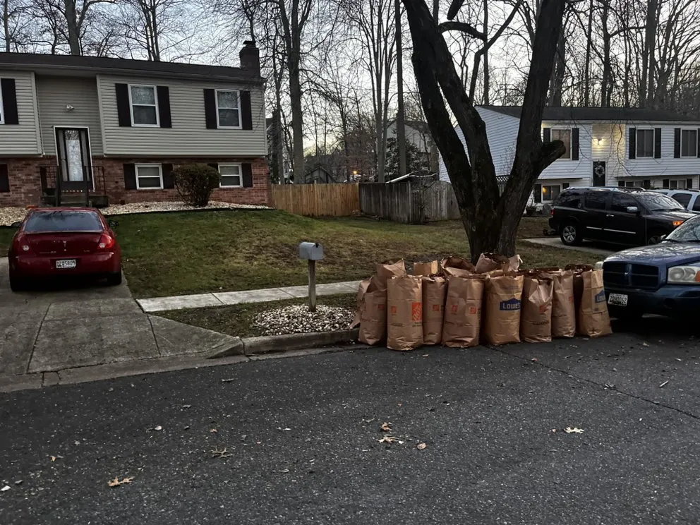 Reliable outdoor landscaping for homes in Capitol Heights, MD by Mr Flex